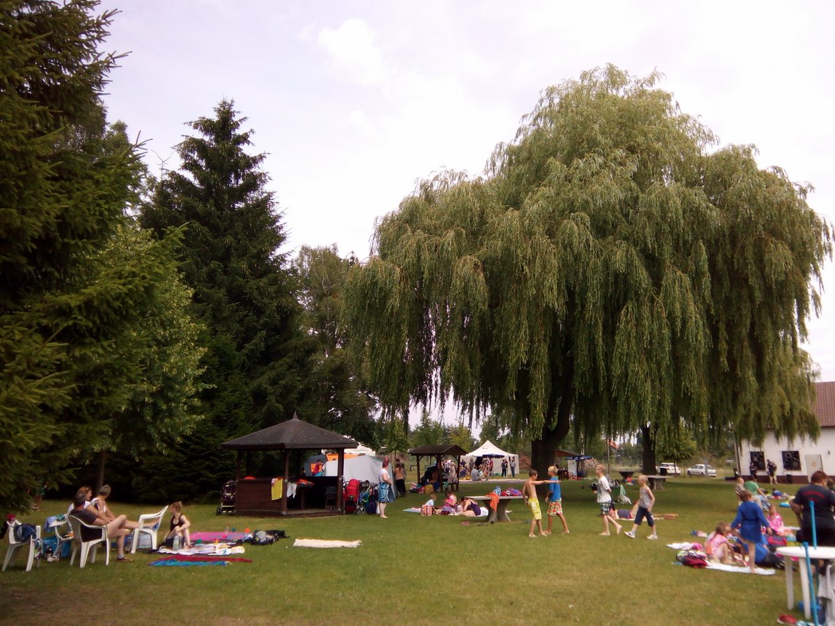 Freibad Zahna Freifläche