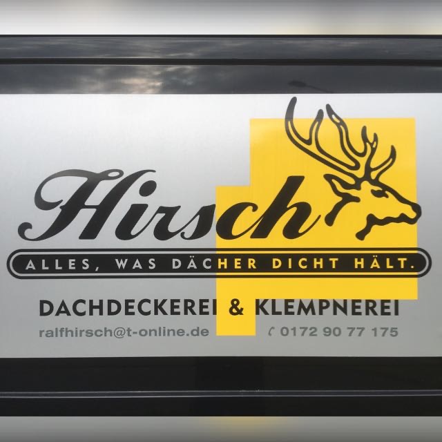 Bild 4 Hirsch in Frankfurt (Oder)