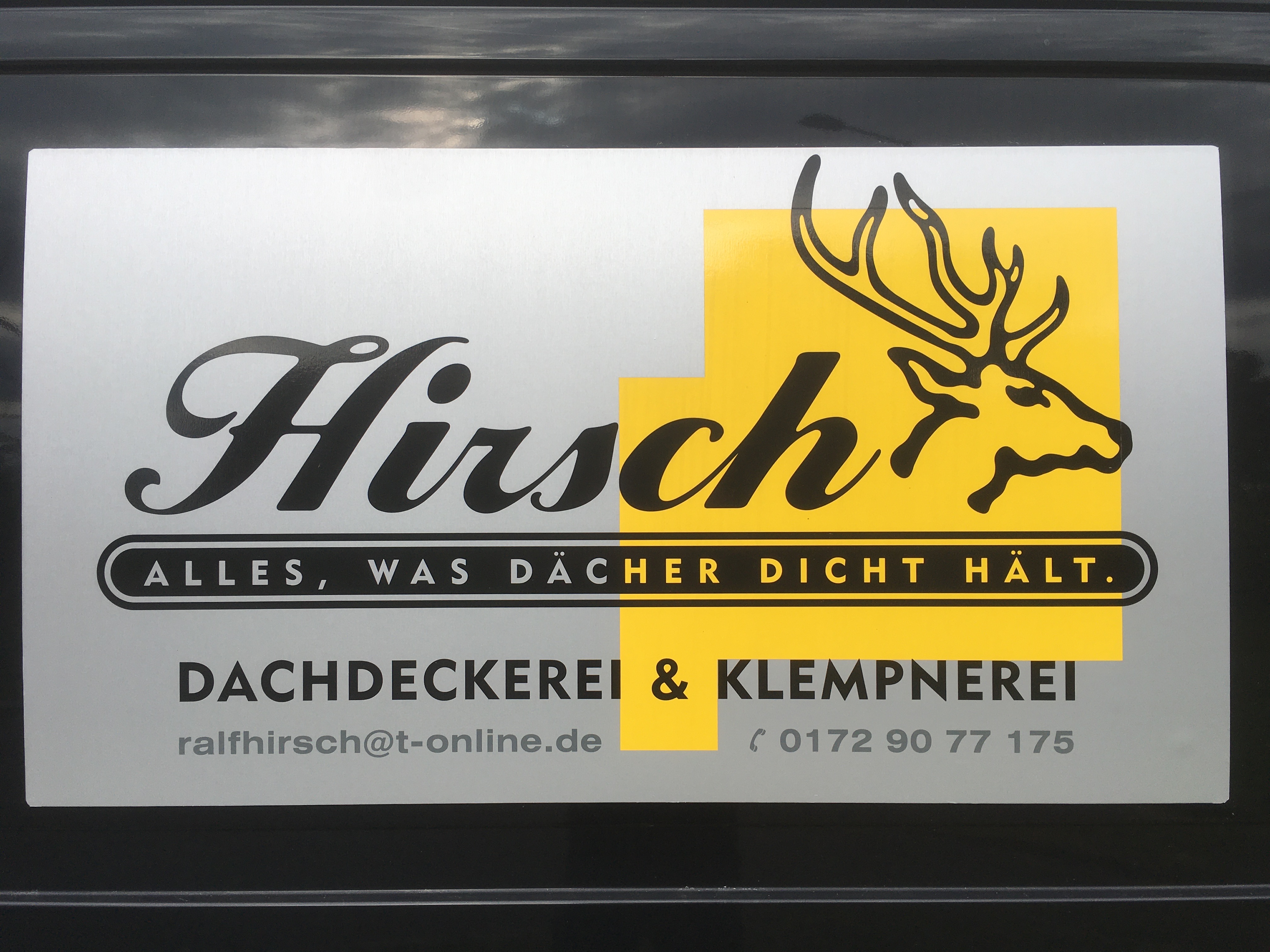 Bild 1 Hirsch in Frankfurt (Oder)