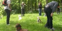 Nutzerfoto 3 Hundepädagogin Susanne Wille Hundeschule und tiergestützte Interventionen
