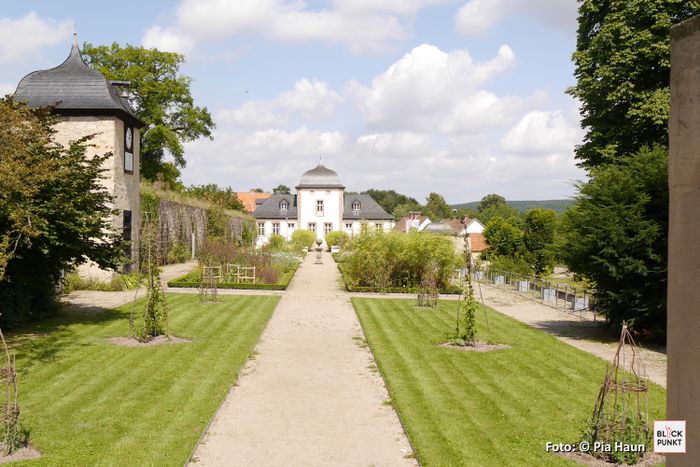 Blick in den Klostergarten in Dalheim - Foto: © Pia Haun 