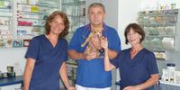 Nutzerfoto 1 Uzur Stevo Dr. (Univ.Zagreb) Tierarztpraxis