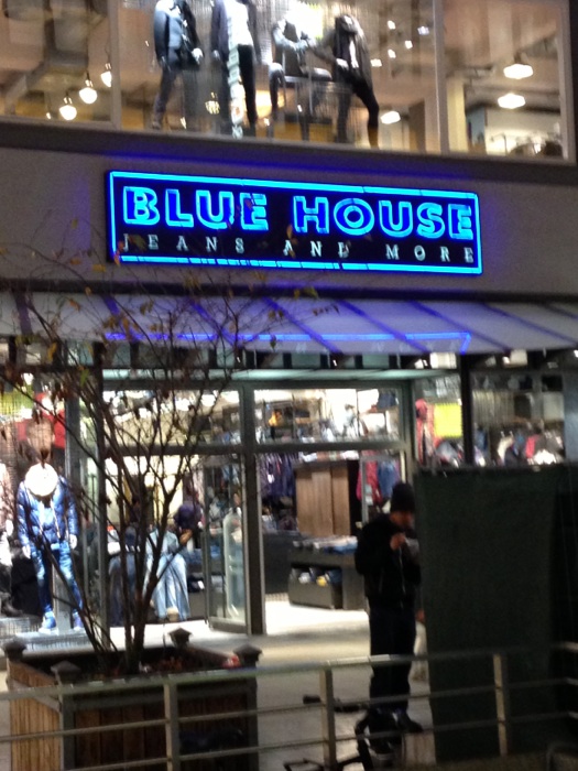 Bild 1 Blue House in Hannover