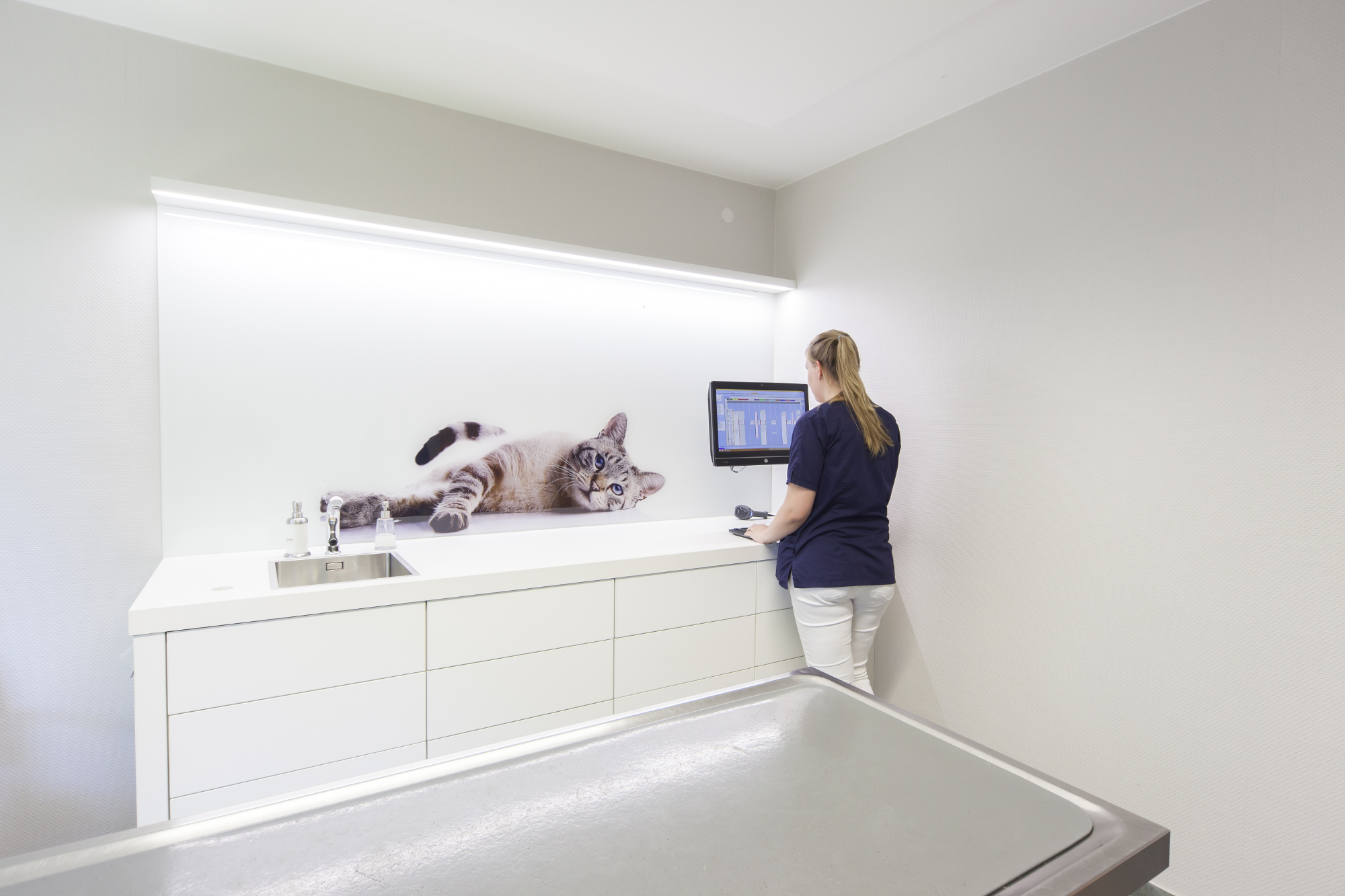 Einer von vier Behandlungsräumen der Tierarztpraxis Dr. Nieder in Schloß Holte-Stukenbrock