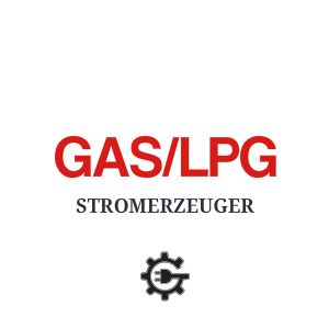 Gas/LPG Stromerzeuger
