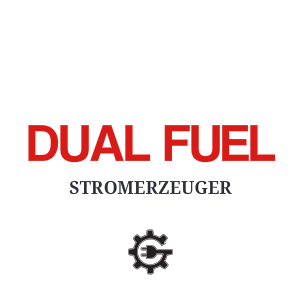 Dual Fuel Stromerzeuger