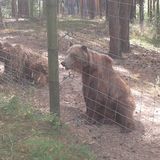 Wildpark Johannismühle in Klasdorf Stadt Baruth in der Mark