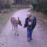 Hochwildschutzpark Hunsrück in Rheinböllen