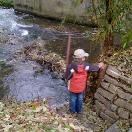 Die jungen Crailsheimer in Volkach