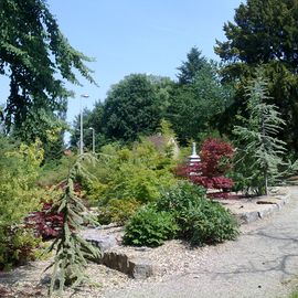 Chinesicher Garten im Stadtpark Öhringen