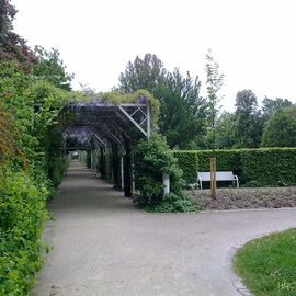 Rosengarten in Coburg