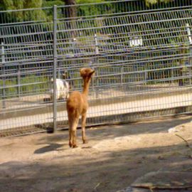 Tierpark Öhringen im Stadtpark