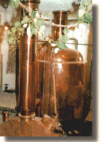 Nutzerbilder Forstquell-Brauerei Inhaberfamilie Kollmar