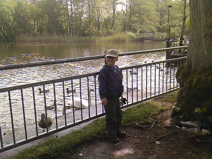 Wanderfreunde TSV Lütjensee - Sewert