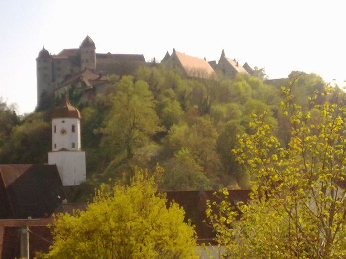 Hoch über Harburg - die Burg Harburg 