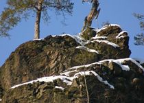 Bild zu Naturschutzgebiet HÖLLENTAL/FRANKENWALD