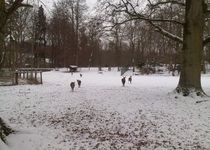 Bild zu WildPark Schloss Tambach