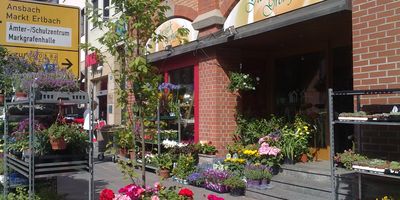 Blumen Grohganz in Neustadt an der Aisch