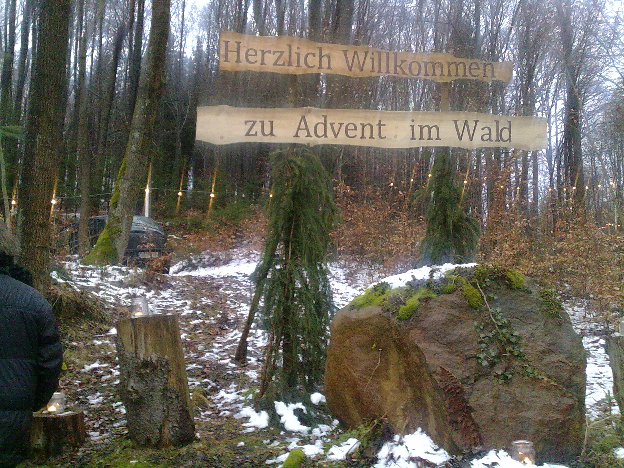 Advent i. Wald am Eulenberg in Schönsee-Friedrichshäng