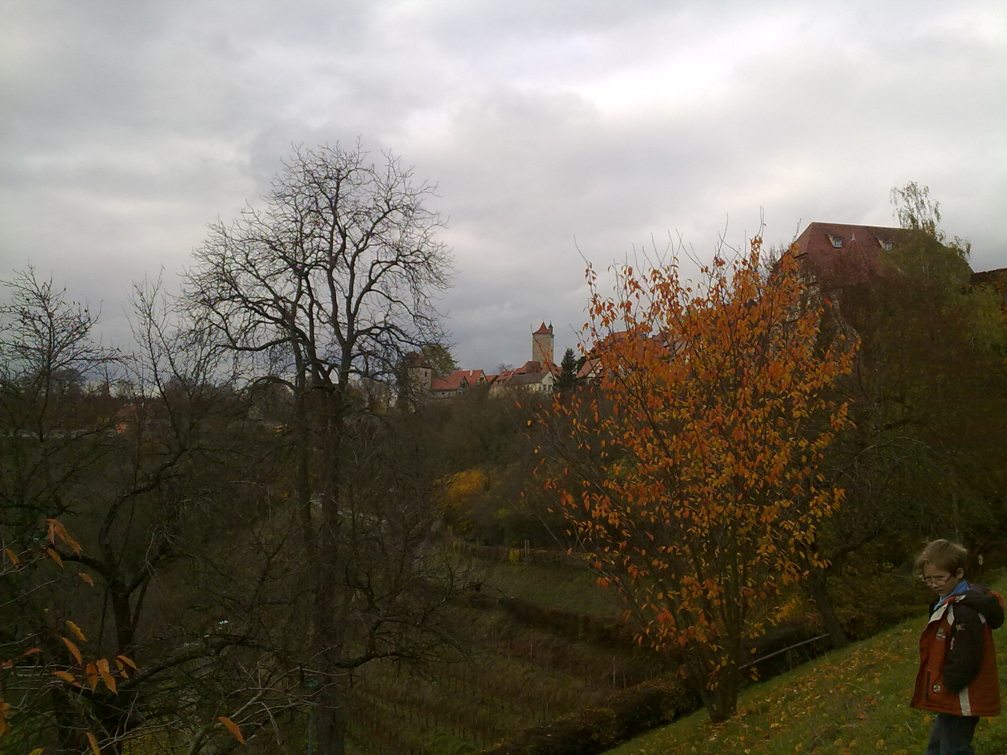 Herbstblick auf Rothenburg o.d.Tauber