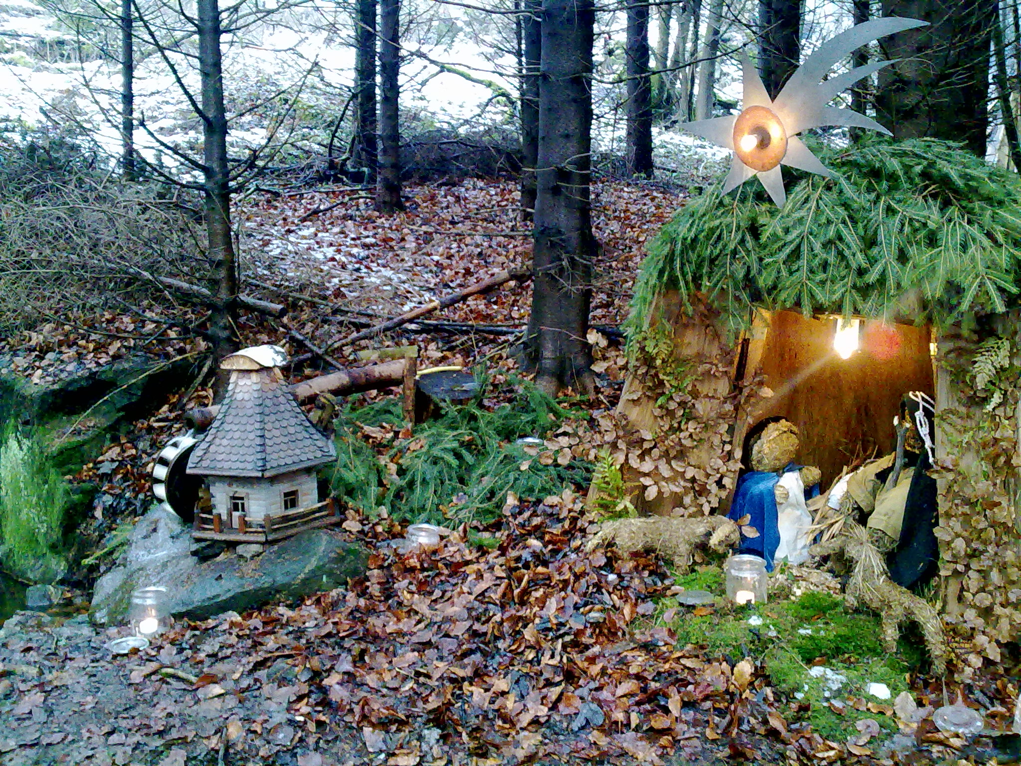 Advent im Wald in Schönsee am Eulenberg