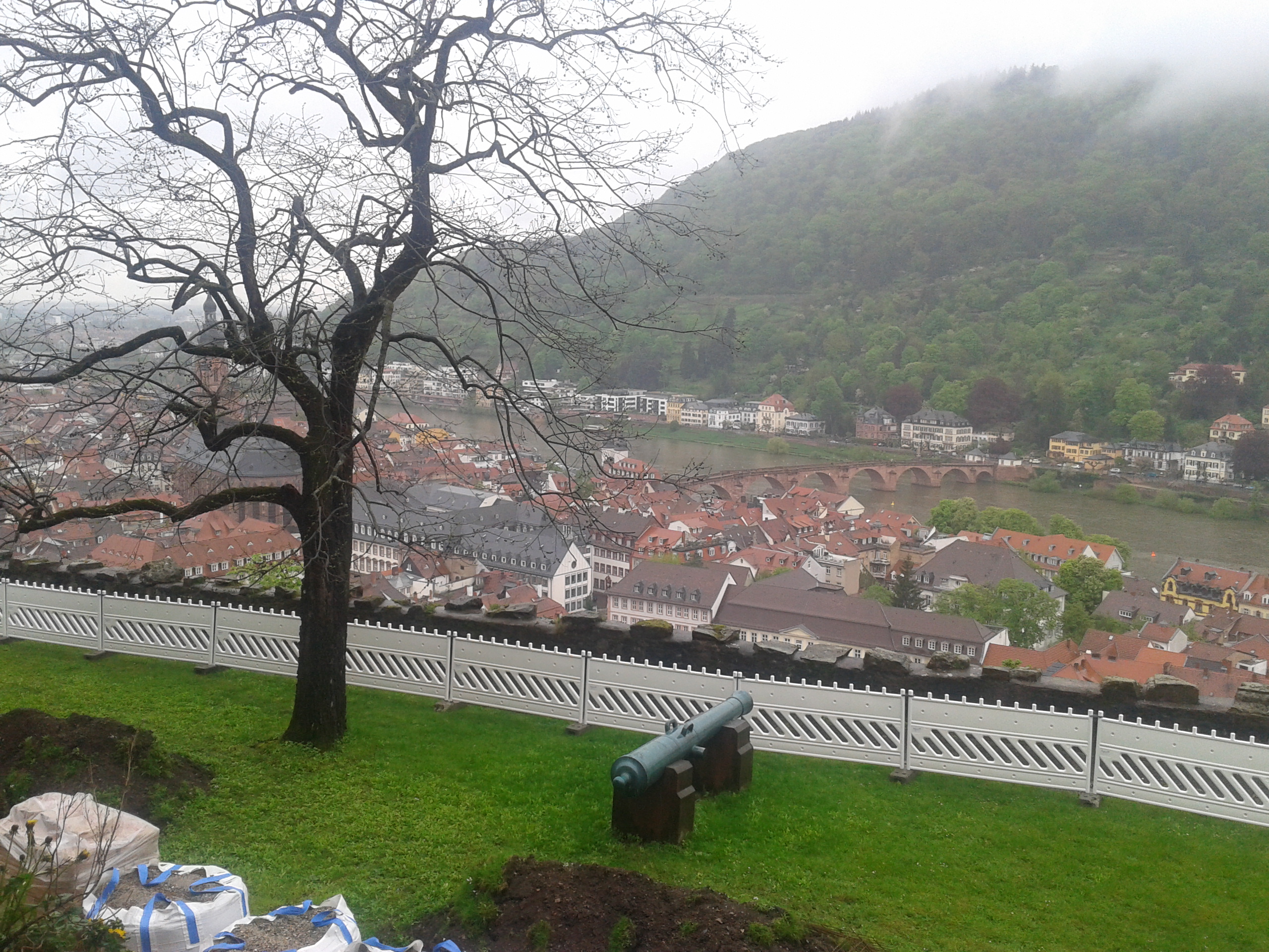 Schlossblick auf Heidelberg