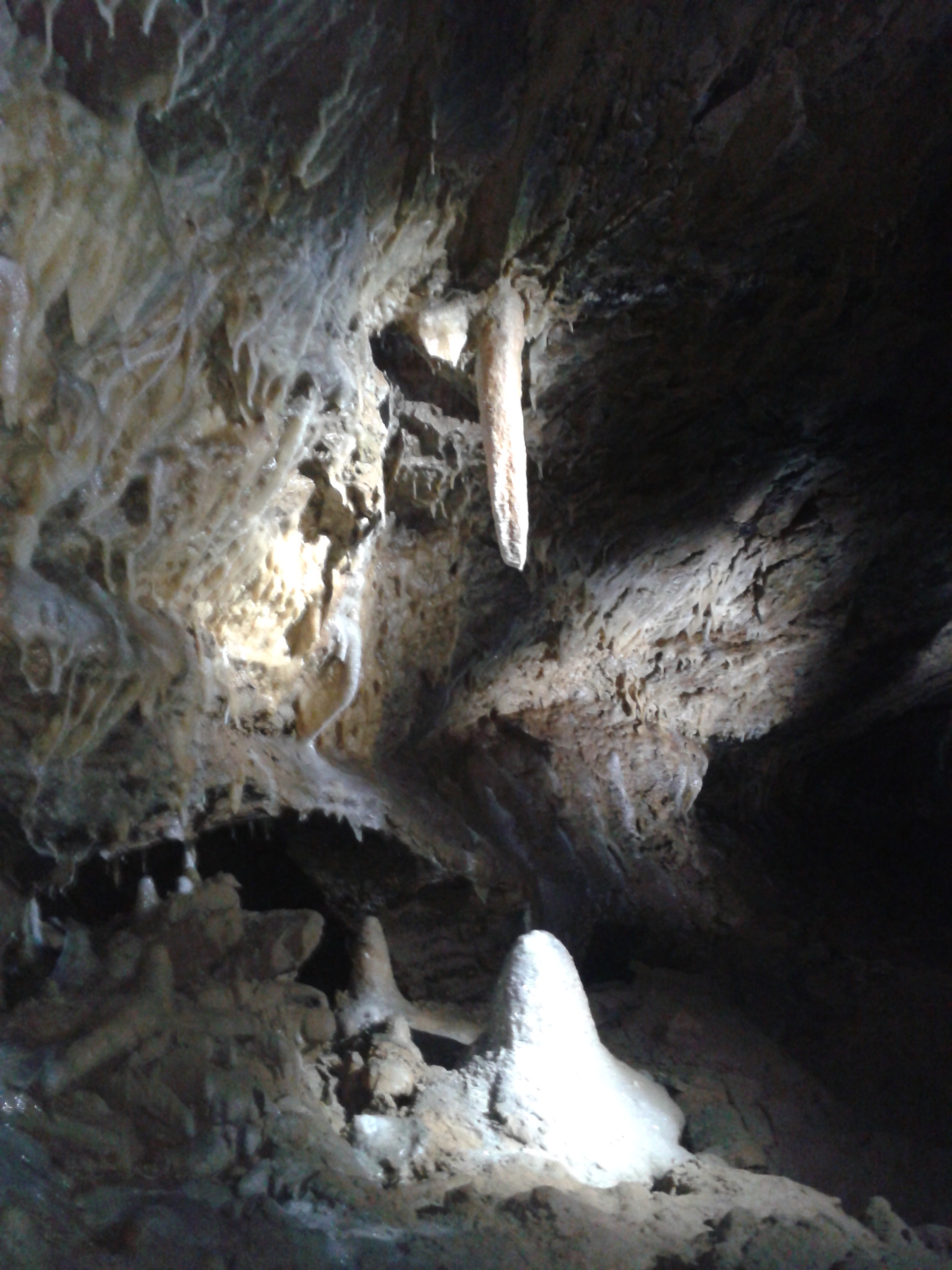 Bild 10 Drachenhöhle,Windmühle Eigenbetrieb d.Gem.Syrau in Syrau