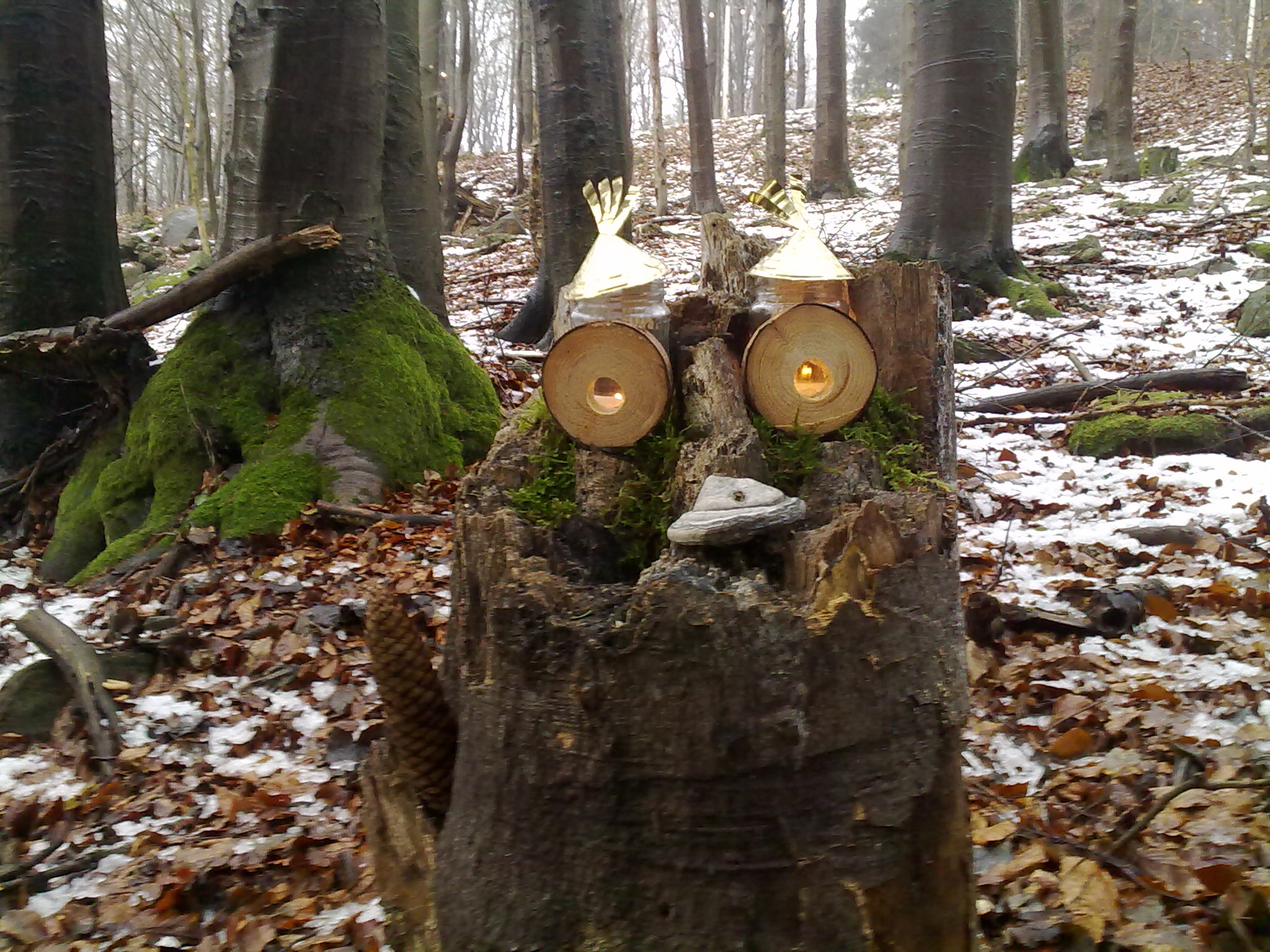 Advent im Wald
Schönsee-Eulenberg