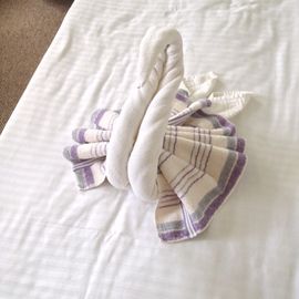 Schwan aus Handtuch Bettgruss