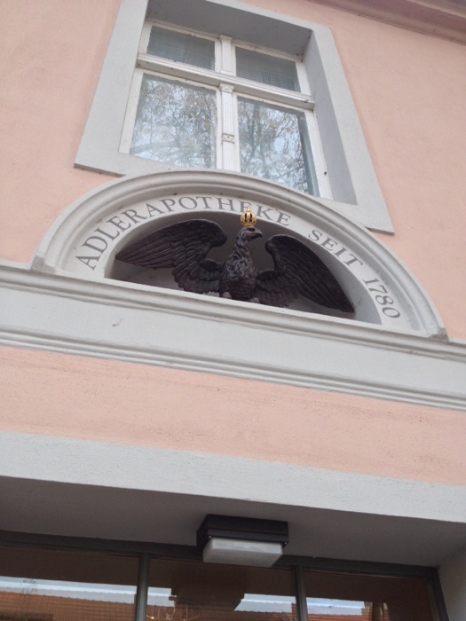 Bild 4 Adler in Rheinsberg