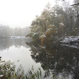 Fischteiche Ventschau in Ventschau Gemeinde Tosterglope