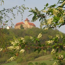 Blick zur Veste Wachsenburg im Frühjahr