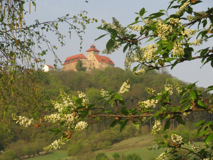 Blick zur Veste Wachsenburg im Frühjahr