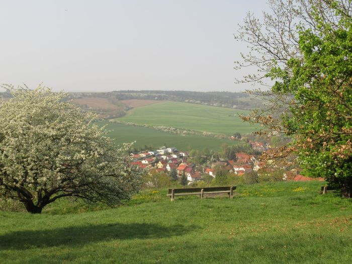 Blick auf Mühlberg