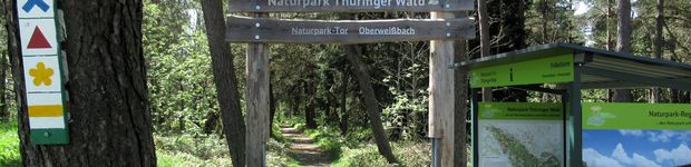 Bild zu Verband Naturpark Thüringer Wald e.V.
