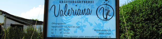 Bild zu Kräutergärtnerei Valeriana