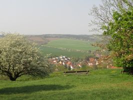 Bild zu Burg und Museum Mühlburg