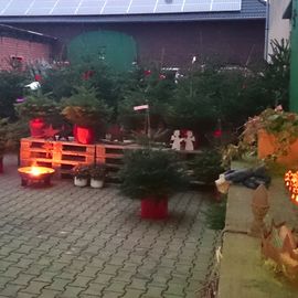 Weihnachtsbaumverkauf auf dem Hof Krampe mit Glühwein, Grillwürsten, Punsch....