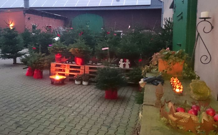 Weihnachtsbaumverkauf auf dem Hof Krampe mit Glühwein, Grillwürsten, Punsch....