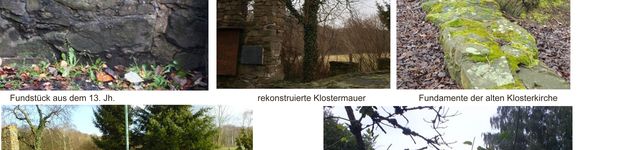 Bild zu Klosterruine Himmelpforten