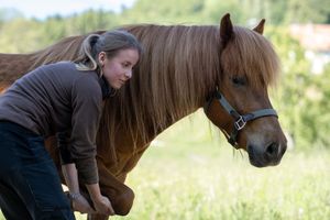 Bild zu Tierphysiotherapie- Pferdeosteopathie- Tierkommunikation Katrin lottes