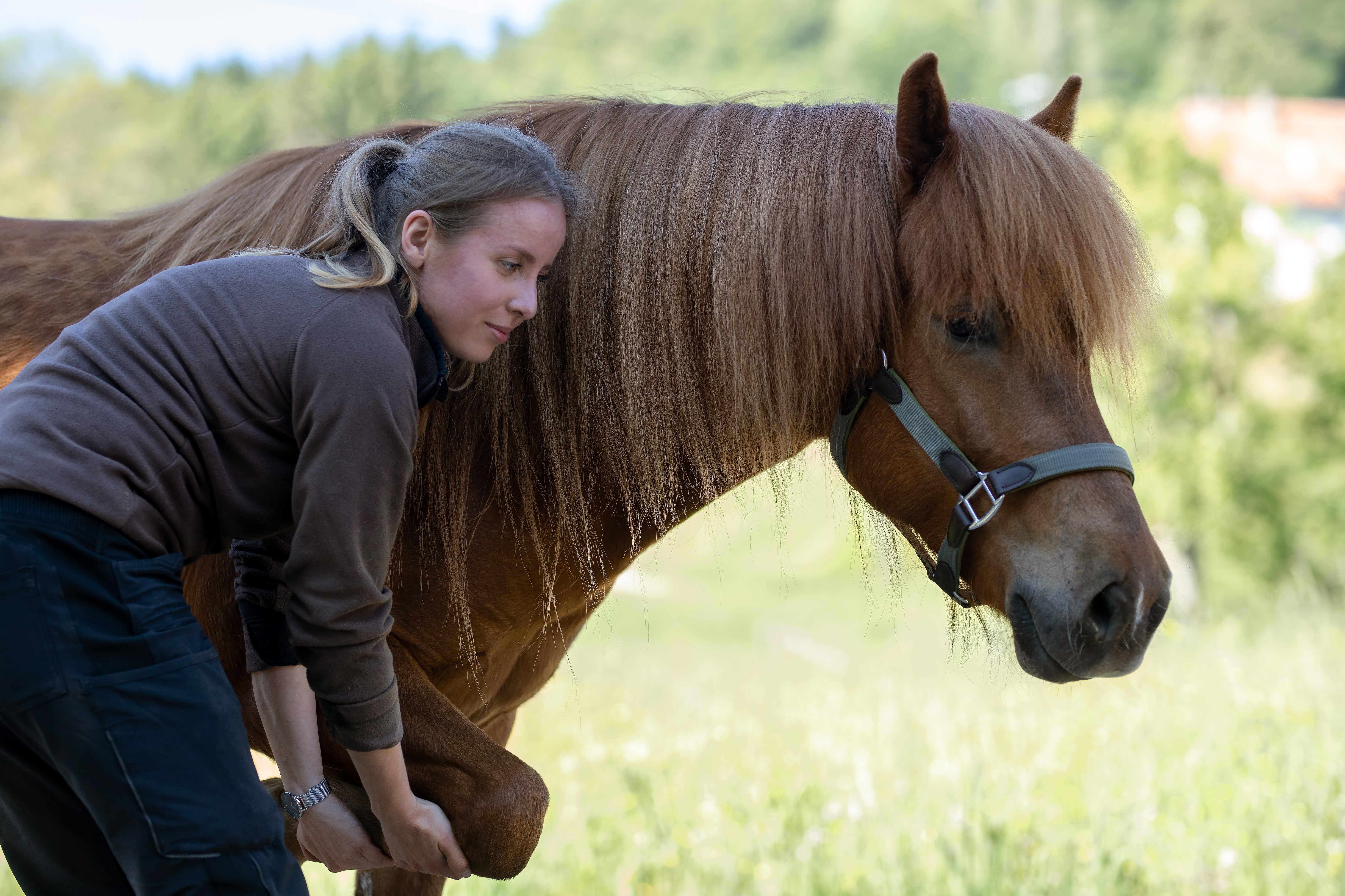 Bild 2 Tierphysiotherapie- Pferdeosteopathie- Tierkommunikation Katrin lottes in Elzach
