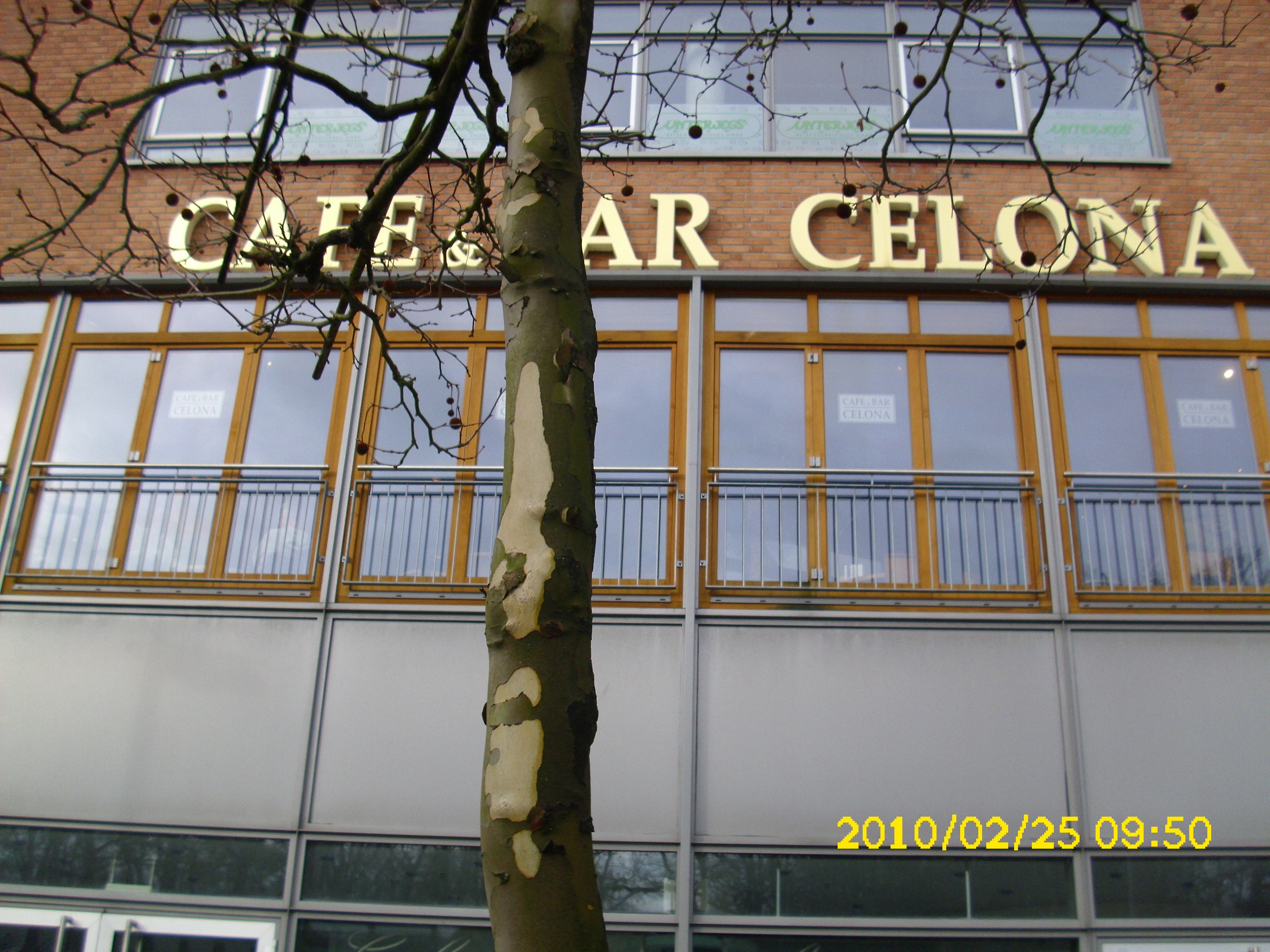 Bild 2 Cafe & Bar Celona in Wilhelmshaven