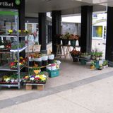 Gartencenter Allerhand in Montabaur
