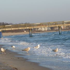 Anfang März 2012 - die Luft ist klar und eisig und man hat den Strand für sich allein