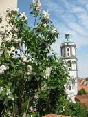 Nutzerbilder Stadt Meißen Technische Dienste