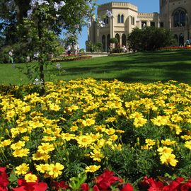 Blumen am Schloss dort. 2016.