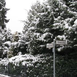 Wintermärchen im Silvesterweg.:)