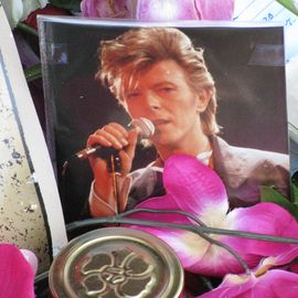 Gedenken der Fans vor dem David-Bowie-Haus. R.I.P. David!!!!