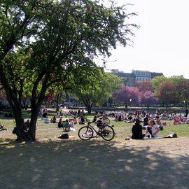 Chillout im Park. Karfreitag 2019!!! :)